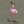 Tac Flamingo Flag - DNC