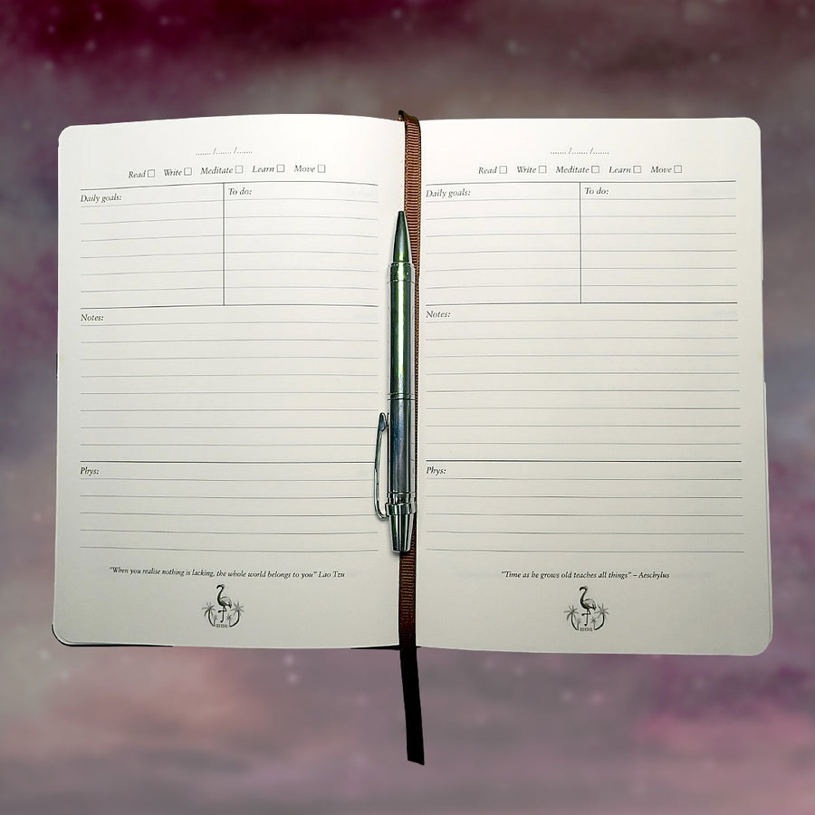 The Development Diary – The Development Society